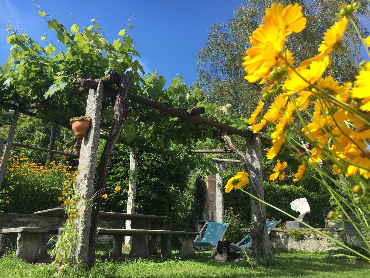 B&B Villa Sempreverde Locarno Luaran gambar